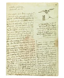 Codex über den Vogelflug, Folio 16 recto